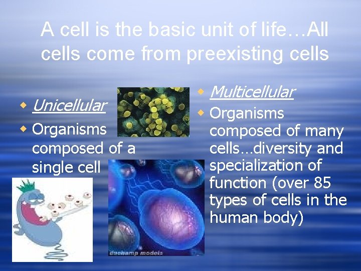 A cell is the basic unit of life…All cells come from preexisting cells w