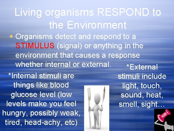 Living organisms RESPOND to the Environment w Organisms detect and respond to a STIMULUS