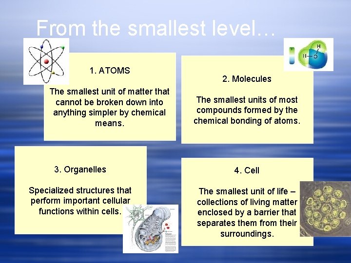 From the smallest level… 1. ATOMS The smallest unit of matter that cannot be