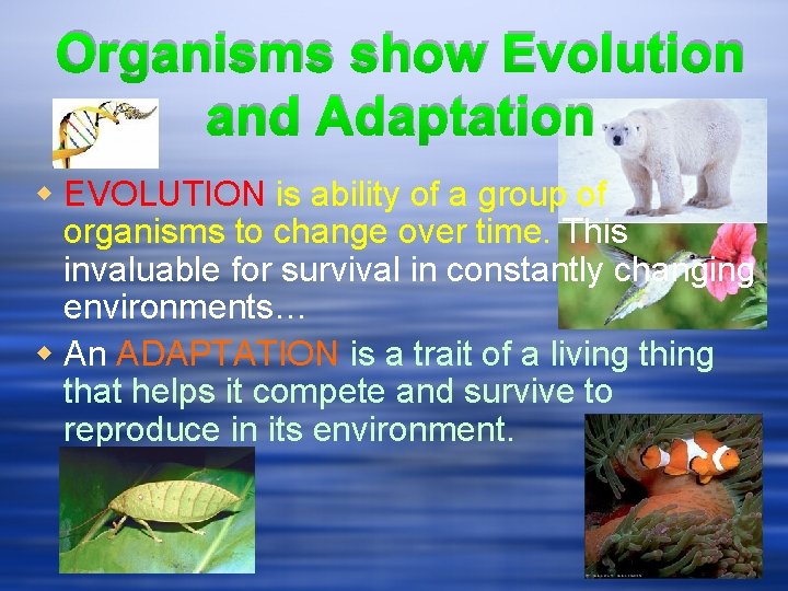 Organisms show Evolution and Adaptation w EVOLUTION is ability of a group of organisms
