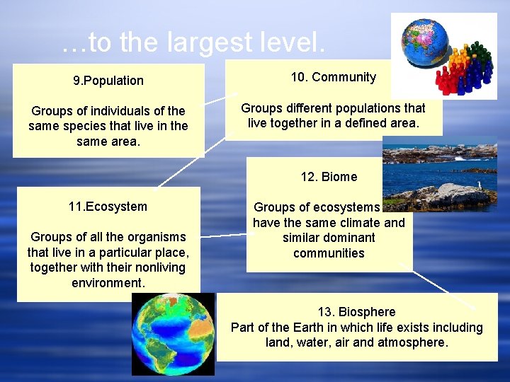 …to the largest level. 9. Population 10. Community Groups of individuals of the same