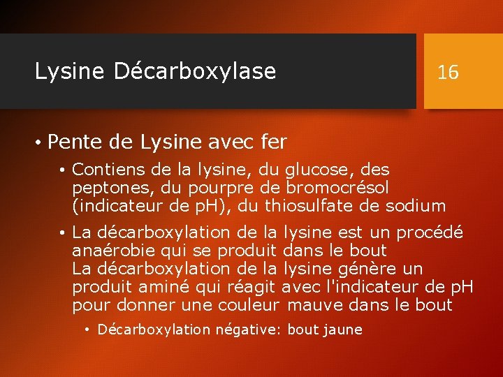 Lysine Décarboxylase 16 • Pente de Lysine avec fer • Contiens de la lysine,