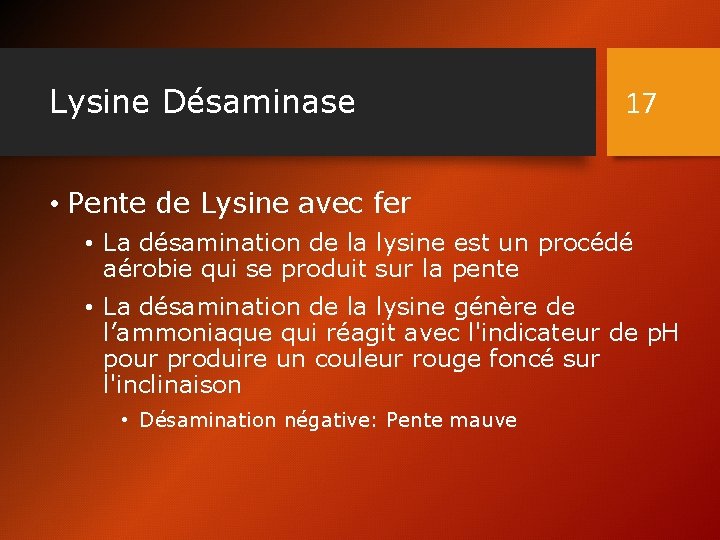 Lysine Désaminase 17 • Pente de Lysine avec fer • La désamination de la