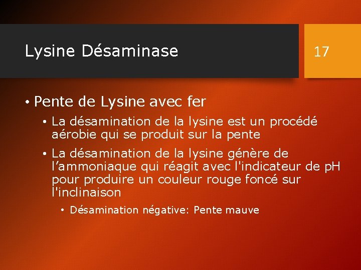 Lysine Désaminase 17 • Pente de Lysine avec fer • La désamination de la Lysine Désaminase 17 • Pente de Lysine avec fer • La désamination de la