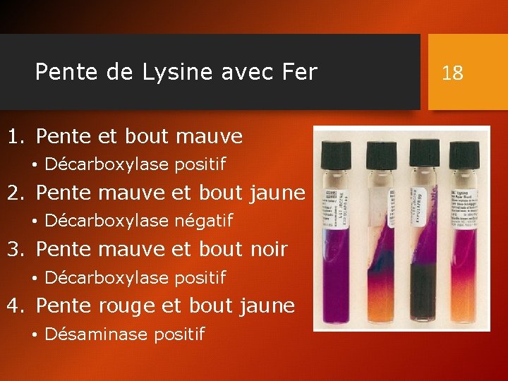 Pente de Lysine avec Fer 1. Pente et bout mauve • Décarboxylase positif 2.