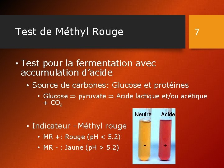 Test de Méthyl Rouge 7 • Test pour la fermentation avec accumulation d’acide •