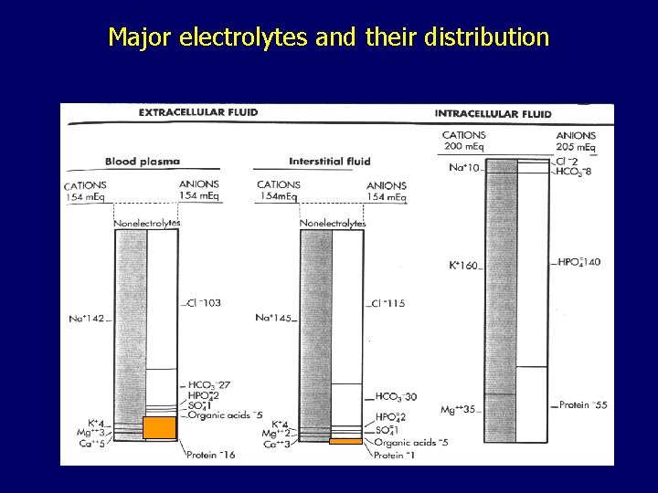 Major electrolytes and their distribution 