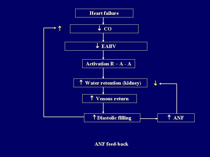 Heart failure CO EABV Activation R – A - A Water retention (kidney) Venous