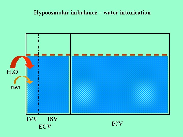 Hypoosmolar imbalance – water intoxication H 2 O Na. Cl IVV ISV ECV ICV
