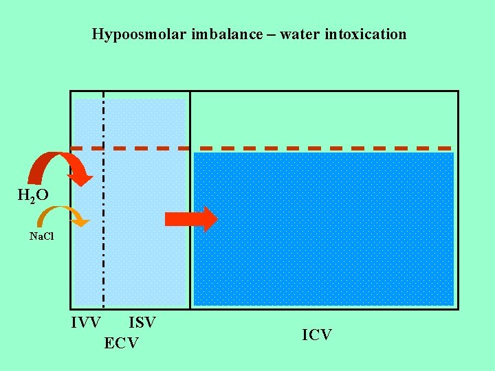 Hypoosmolar imbalance – water intoxication H 2 O Na. Cl IVV ISV ECV ICV