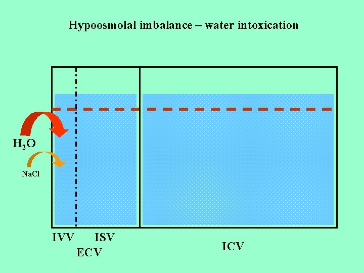 Hypoosmolal imbalance – water intoxication H 2 O Na. Cl IVV ISV ECV ICV