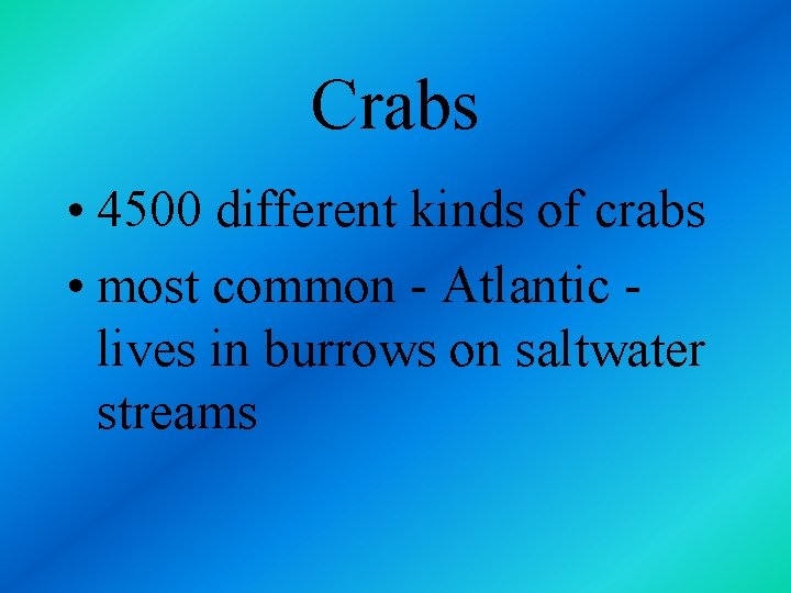 Crabs • 4500 different kinds of crabs • most common - Atlantic lives in