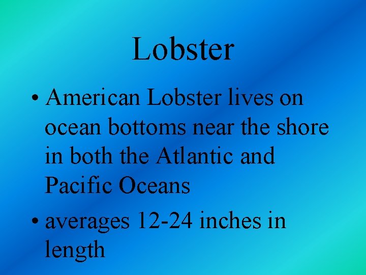 Lobster • American Lobster lives on ocean bottoms near the shore in both the