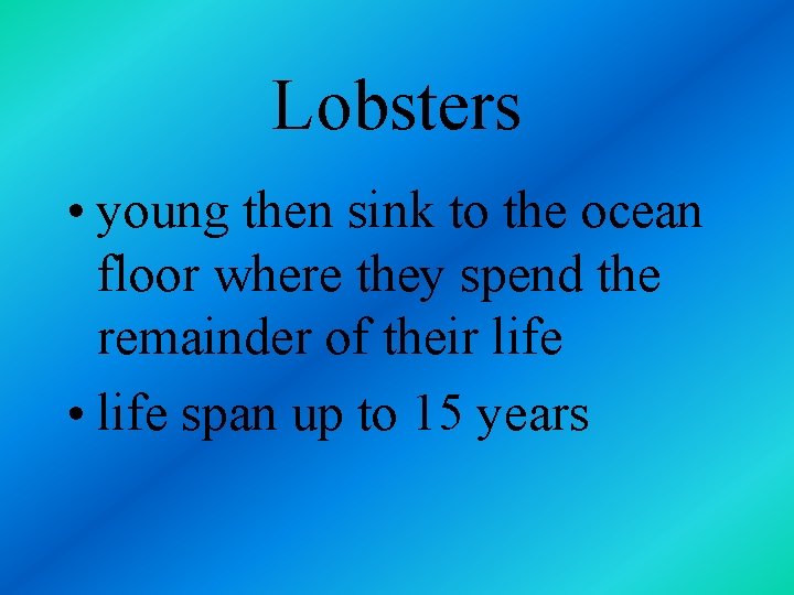 Lobsters • young then sink to the ocean floor where they spend the remainder