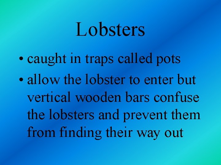 Lobsters • caught in traps called pots • allow the lobster to enter but