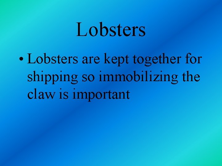 Lobsters • Lobsters are kept together for shipping so immobilizing the claw is important