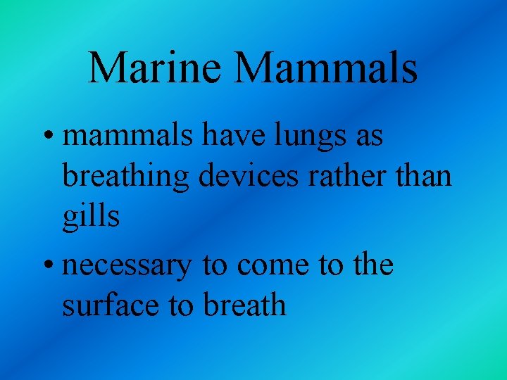 Marine Mammals • mammals have lungs as breathing devices rather than gills • necessary