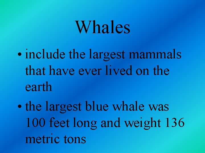 Whales • include the largest mammals that have ever lived on the earth •