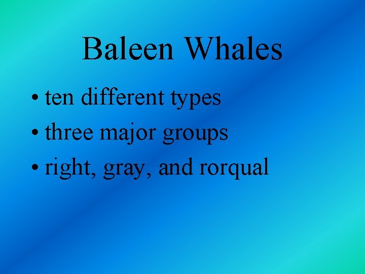 Baleen Whales • ten different types • three major groups • right, gray, and