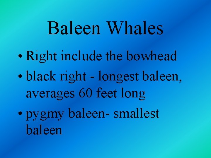 Baleen Whales • Right include the bowhead • black right - longest baleen, averages