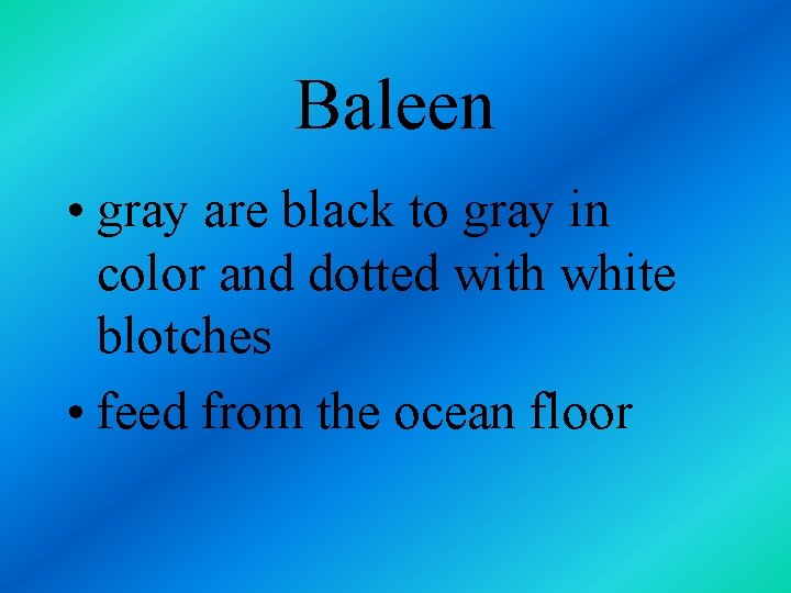 Baleen • gray are black to gray in color and dotted with white blotches