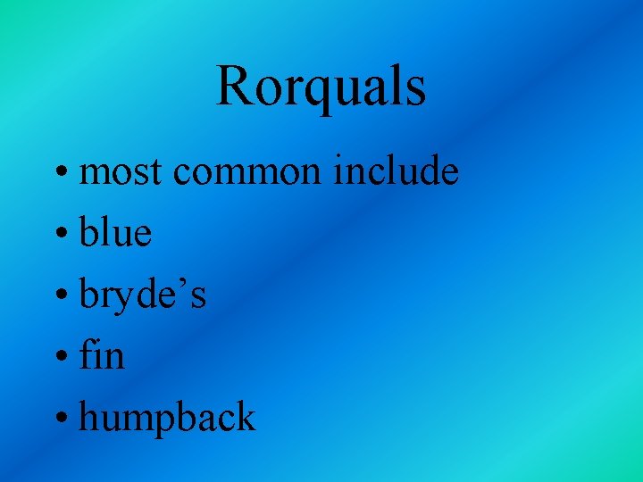 Rorquals • most common include • blue • bryde’s • fin • humpback 