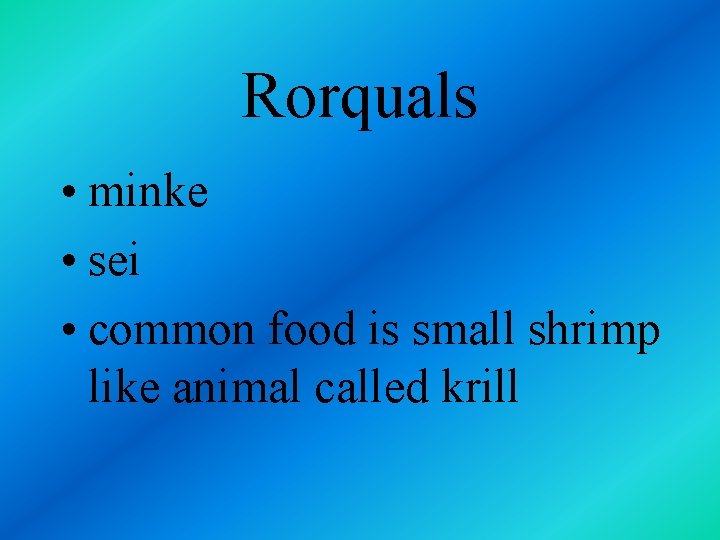 Rorquals • minke • sei • common food is small shrimp like animal called