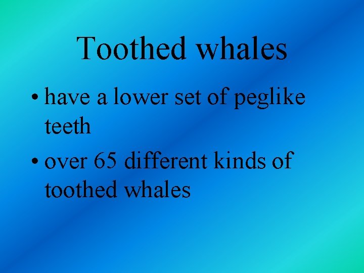 Toothed whales • have a lower set of peglike teeth • over 65 different