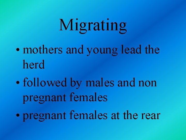 Migrating • mothers and young lead the herd • followed by males and non