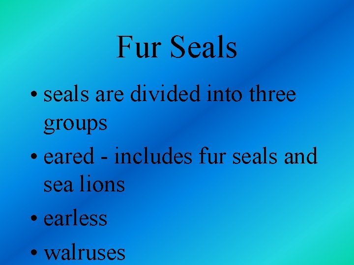 Fur Seals • seals are divided into three groups • eared - includes fur