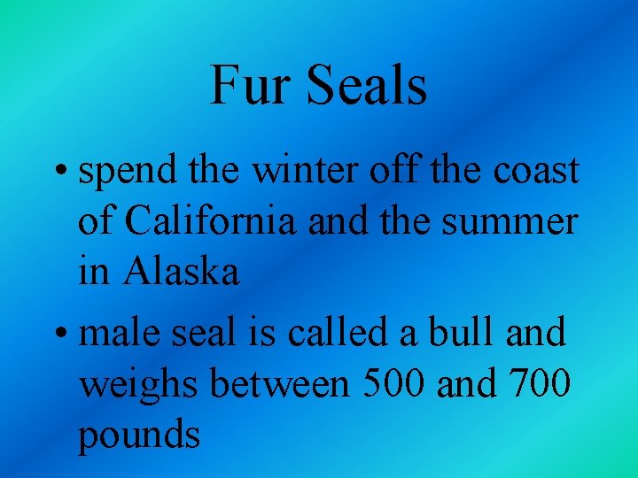 Fur Seals • spend the winter off the coast of California and the summer