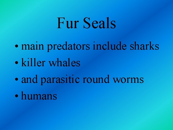 Fur Seals • main predators include sharks • killer whales • and parasitic round