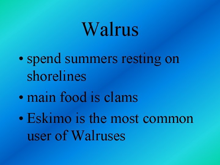 Walrus • spend summers resting on shorelines • main food is clams • Eskimo