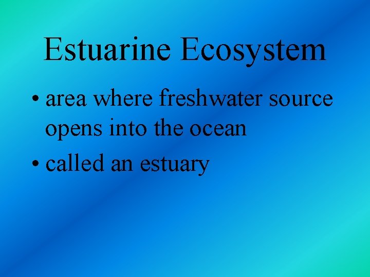 Estuarine Ecosystem • area where freshwater source opens into the ocean • called an