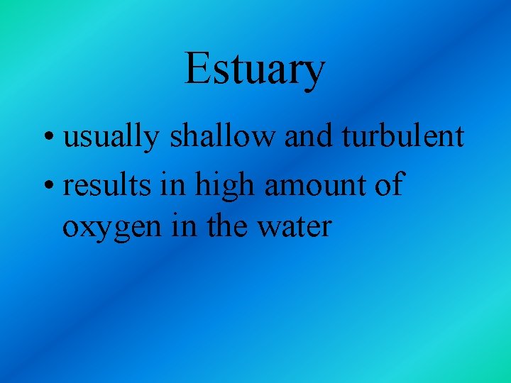 Estuary • usually shallow and turbulent • results in high amount of oxygen in