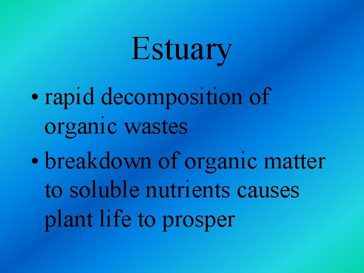 Estuary • rapid decomposition of organic wastes • breakdown of organic matter to soluble