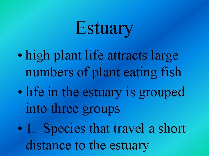 Estuary • high plant life attracts large numbers of plant eating fish • life