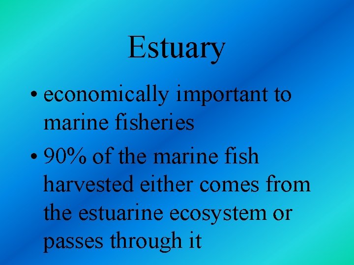 Estuary • economically important to marine fisheries • 90% of the marine fish harvested