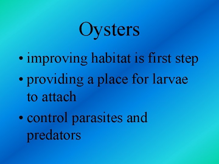 Oysters • improving habitat is first step • providing a place for larvae to