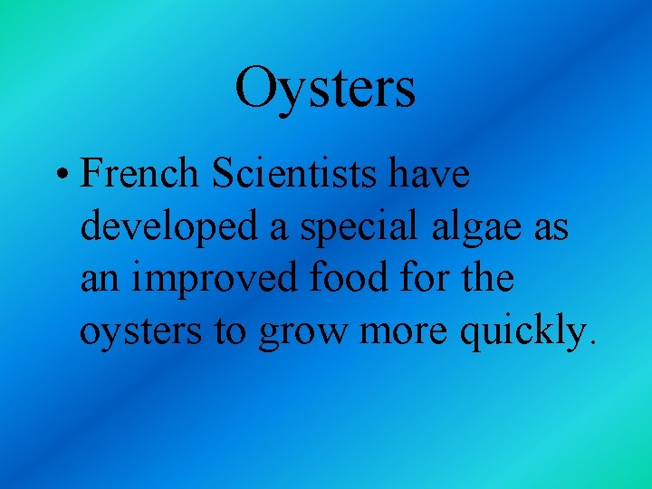 Oysters • French Scientists have developed a special algae as an improved food for