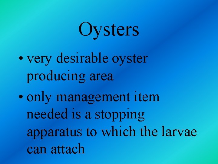 Oysters • very desirable oyster producing area • only management item needed is a