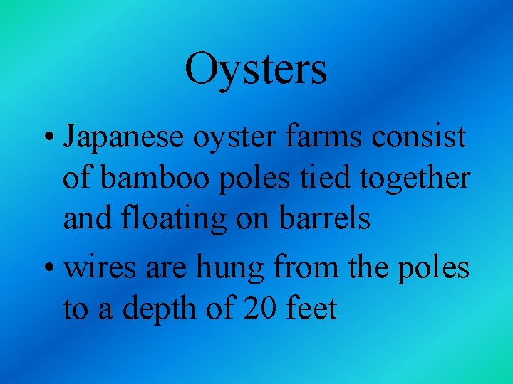 Oysters • Japanese oyster farms consist of bamboo poles tied together and floating on