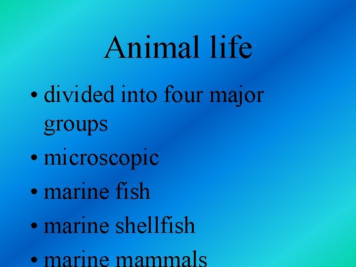 Animal life • divided into four major groups • microscopic • marine fish •