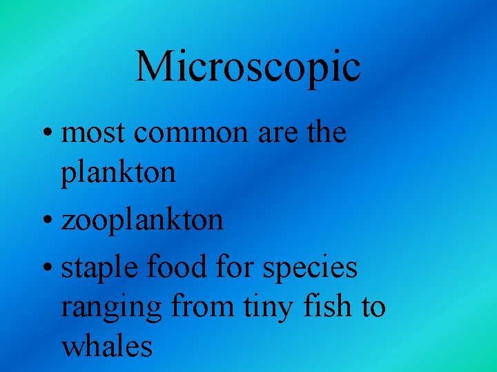 Microscopic • most common are the plankton • zooplankton • staple food for species