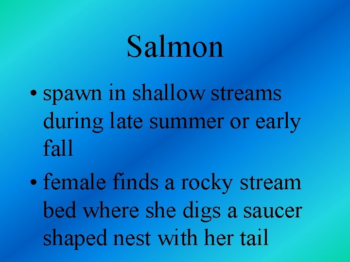 Salmon • spawn in shallow streams during late summer or early fall • female