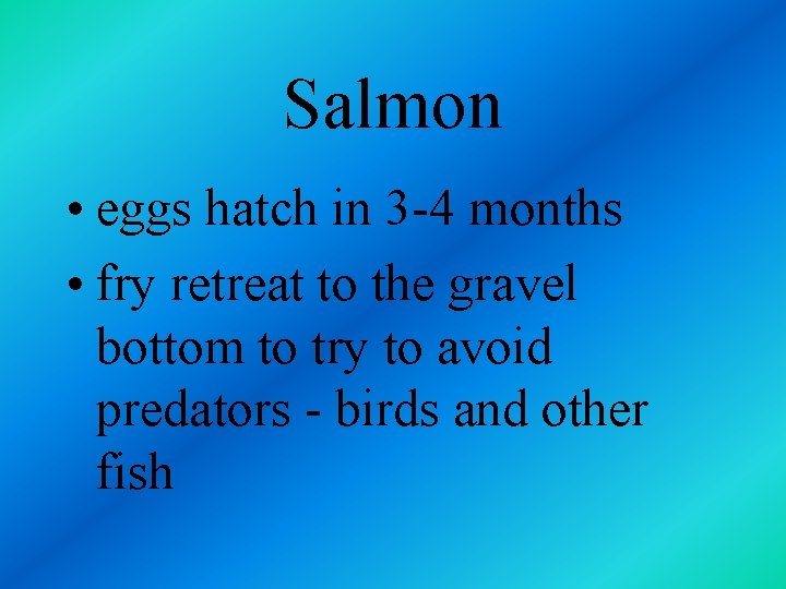 Salmon • eggs hatch in 3 -4 months • fry retreat to the gravel