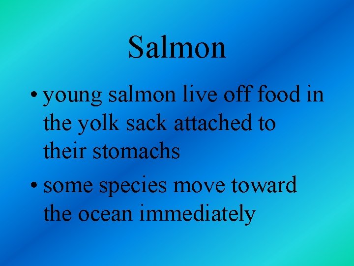 Salmon • young salmon live off food in the yolk sack attached to their