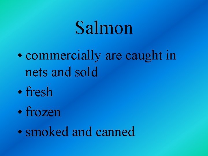 Salmon • commercially are caught in nets and sold • fresh • frozen •