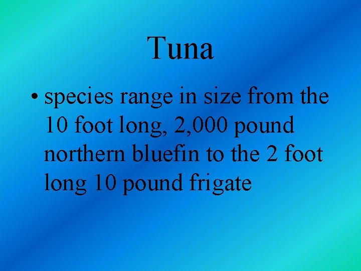 Tuna • species range in size from the 10 foot long, 2, 000 pound