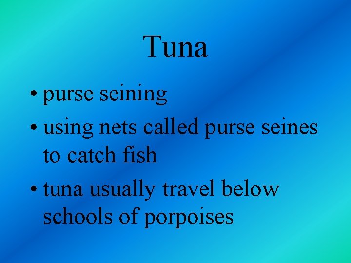 Tuna • purse seining • using nets called purse seines to catch fish •
